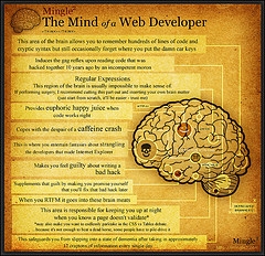 web developers